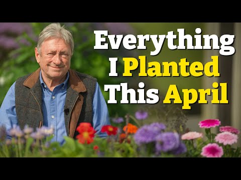 Episode 1: April - Planting Seeds, Preparing Beds and Sensational Spring Blooms