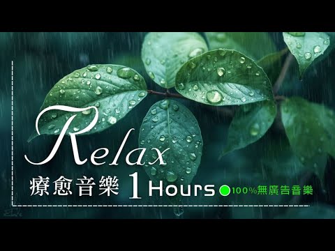 🟢【100% 無廣告音樂】綠色讓人平靜 內心安定 雨中的綠葉格外讓人喜歡 #能量養生輕音樂 #深度放鬆 #疏肝解鬱 #聽後心平氣和 #多巴胺分泌音樂