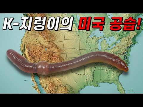 지렁이가 사라진 땅에 외래지렁이가 정착하면 벌어지는 일ㄷㄷ(ft.지렁이의 두 얼굴)