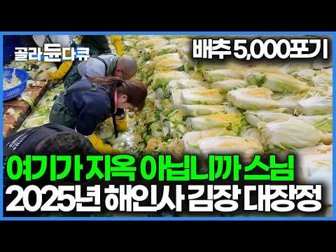 절에 갔다가 4일간 잡혀 김장만 하다 왔습니다, 8,000포기 배추 수확부터 나흘간의 김장 대장정|PD로그|#골라듄다큐
