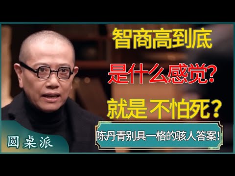 智商高到底是什么感觉?陈丹青「别具一格」的骇人答案! #窦文涛 #梁文道 #马未都 #周轶君 #马家辉 #许子东 #圆桌派 #圆桌派第八季