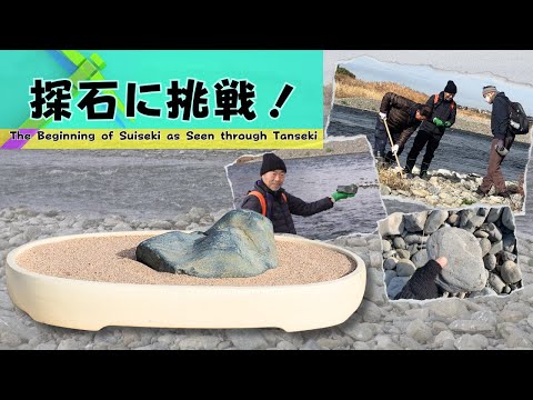 The roots of Suiseki as Seen through Tanseki - In Search of the Great Stones of a 100 Years After -