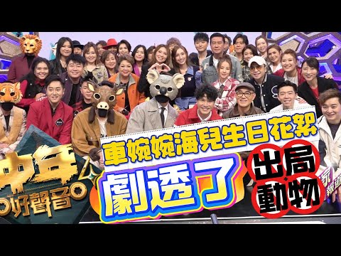 《 #中年好聲音4 》 #車婉婉 #海兒 生日花絮,劇透了邊一隻蒙面動物可能已經「出局」! #TVB #梓菜女 #芝麻仔 #肥媽 #周國豐 #張佳添 #蒙面歌手 #谷婭溦 #譚輝智 #羅逸軒 #曹越