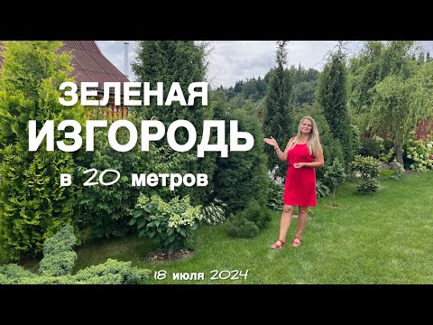 НЕОРДИНАРНАЯ ЗЕЛЕНАЯ ИЗГОРОДЬ В 20 МЕТРОВ. КАК ЭТО ВЫГЛЯДИТ И КАКИЕ РАСТЕНИЯ ?