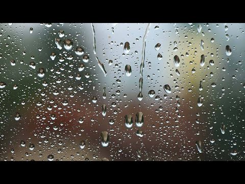 Scattered showers likely Sunday