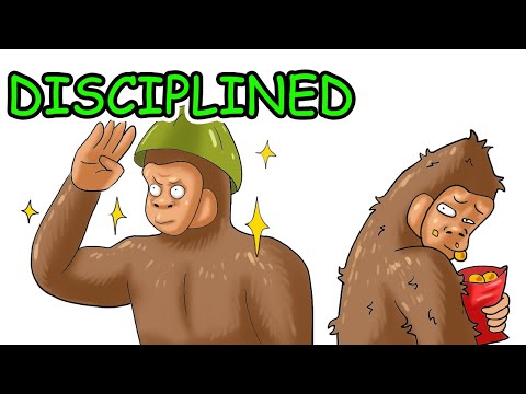 Monkey’s Brain on Discipline (Why Motivation Isn’t Enough)