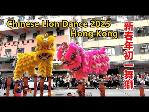 Chinese Lion Dance Chinese New Year 2025 in Hong Kong 香港農曆新年蛇年大年初一醒獅拜年 姜氏金龍醒獅團 中國醒獅 中華舞獅 非物質文化遺產