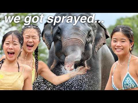 WE SPENT THE DAY WITH ELEPHANTS!! *wholesome*