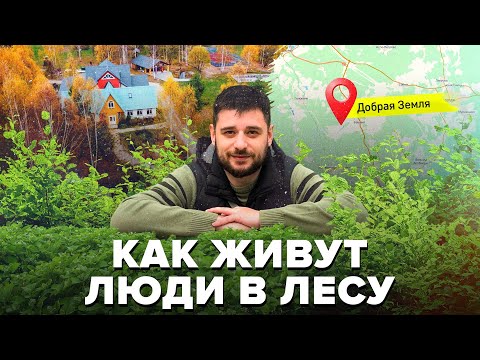 Как живут люди в лесу в Экопоселении | Добрая Земля - Сортировочная