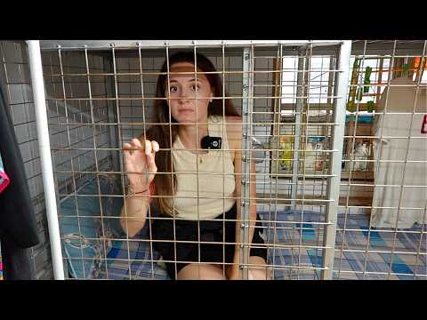 I Explored Hong Kong's Cage Homes