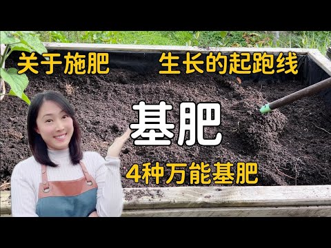 【种植79】4种万能的基肥 ,让蔬果的生长赢在起跑线上 4 kinds of base fertilisers for home gardening