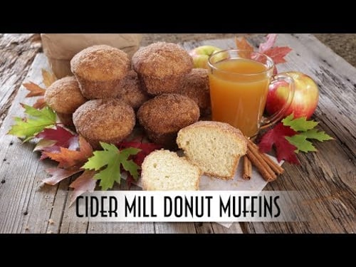 Cider Mill Donut Muffins | Baked not Fried