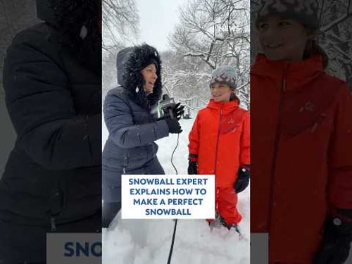 How to make the perfect snowball