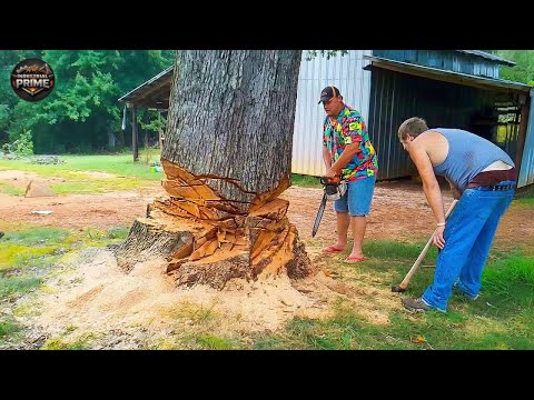 Idiots With Chainsaws: Tree Cutting Fails | Extreme Dangerous Logging Truck Fails #20