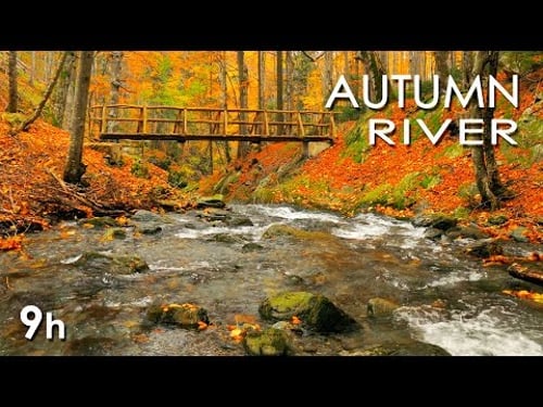 Autumn River Sounds - Relaxing Nature Video - Sleep/ Relax/ Study - 9 Hours - HD 1080p