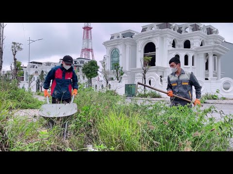 How long does it take for grass to cover the sidewalks in this expensive villa area?