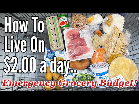 Eating For $2 A Day (Full Week)