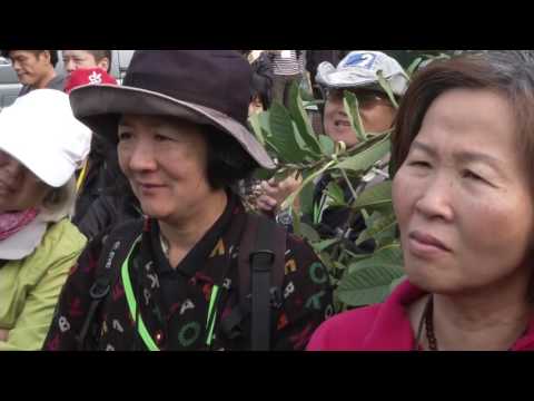 台東有機芭樂枇杷種植