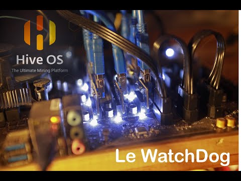 Configurer le Watchdog sous HiveOs