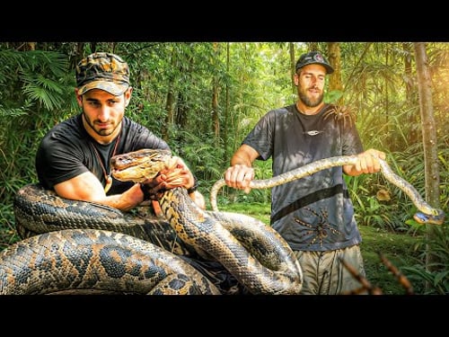 In Amazon Jungle With Paul Rosolie Pt. 2 🇵🇪