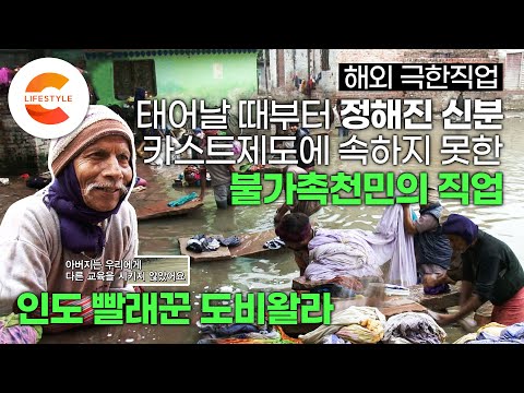태어나자마자 '세상에서 가장 천한 신분' 카스트의 굴레를 벗어날 수 없는 '불가촉천민'의 직업🇮🇳 죽을 때까지 평생 빨래만 해야하는 인도 '도비왈라'ㅣ해외 레전드 극한직업