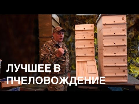 ЛУЧШИЙ УЛЕЙ, НОМЕР 1