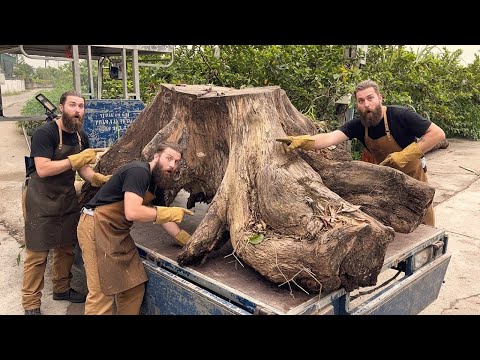 The BIGGEST Stump Project Ever? Creating a One-of-a-Kind Wood Table!!! - DIY Giant Wood Table