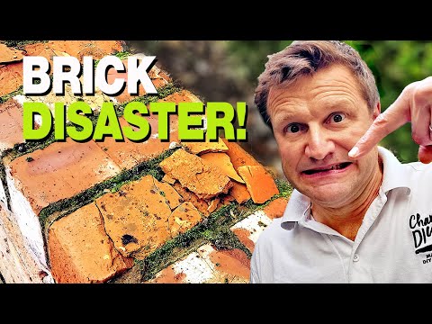 Saving My Garden Bricks From Disaster (Waterproofing & Moss Kill)
