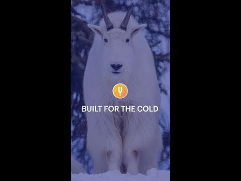 Survival in a Changing World