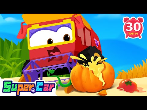 農田亂糟糟!🚜 收割機升級大調查 | 幫小雞小兔回家 🐥🐰 | 兒童汽車動畫 🚙🎶 | 超級汽車大冒險