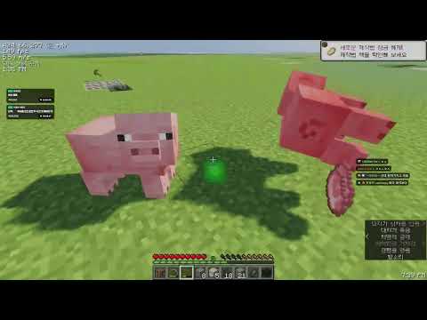 2025.12.13 / 평면마크에서 엔더드래곤 잡기