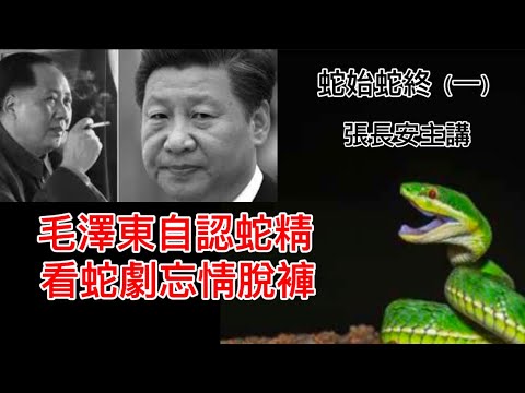 貼身衛士口述:毛澤東自認是蛇精轉世,看《白蛇傳》忘形脫褲(講者張長安,蛇始蛇終之一)