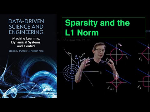 Sparsity and the L1 Norm