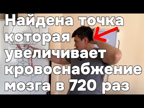 Найдена точка которая увеличивает кровоснабжение мозга в 720 раз и память в 36 раз