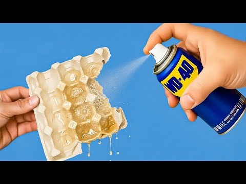 Mix WD40 with egg carton and make dollars😱! Why didn't I know this sooner?