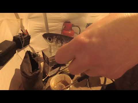 Тонкости ловли рипуса