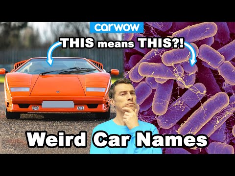 You won't believe what these car names ACTUALLY mean!