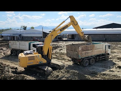 Urgent job! Let's go!! 🔰🔰🔰 KOBELCO SK200-10 SM backhoe hauling soil to fill an old pond and level...