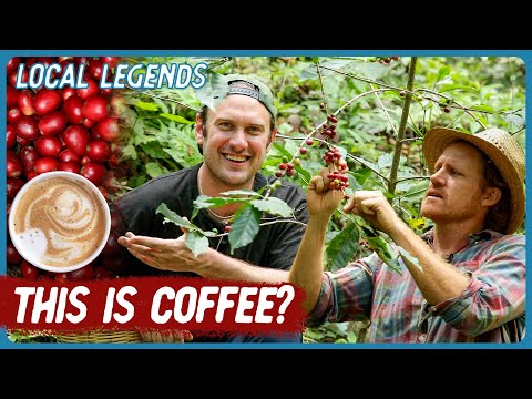 Finding Mexico’s Best Coffee in a Oaxacan Cloud Forest | Local Legends | Brad Leone