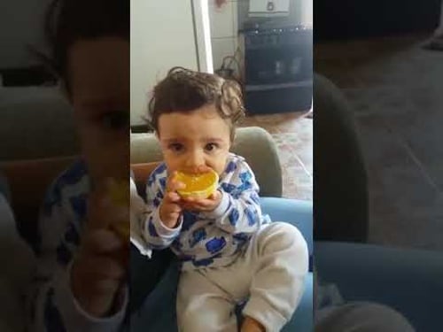 VID_20180104_235624814_edited.mp4