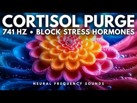 741 Hz 🧘♂️ Neuro-Frequency Detox – Purge Cortisol & Reset Emotional Balance | Meditation Music