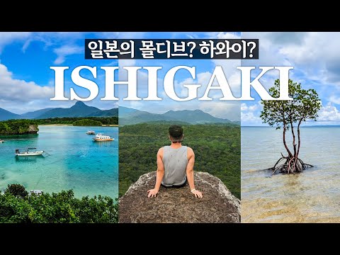 한국에서 직항 생긴 일본 최남단 섬! 이시가키 섬 여행 브이로그🏝️