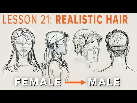 Learn to Draw Anatomy - Realistic Hair