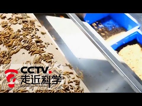 《走近科学》变废为宝 20180409 | CCTV走近科学官方频道