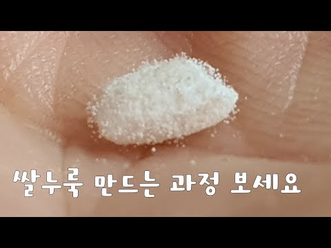 쌀누룩 만들실 분들 보세요~