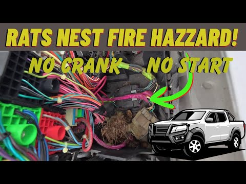 No Crank-No Start-New Starter! Towed In!!