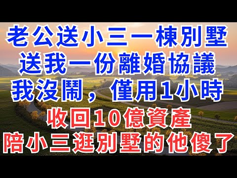 老公送小三一棟別墅,送我一份離婚協議,我沒鬧,僅用1小時收回10億資產,陪小三逛別墅的他傻了#故事#小說#家庭關係#婆媳#女性成長#故事分享