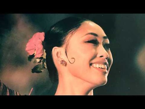 my journey to becoming a principal ballet dancer | auditions, how i got promoted, what worked