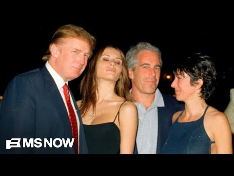 If Hillary Clinton testified over Epstein should Melania Trump?