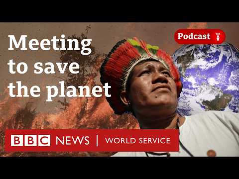 COP: The world’s toughest event to organise? - The Climate Question podcast, BBC World Service